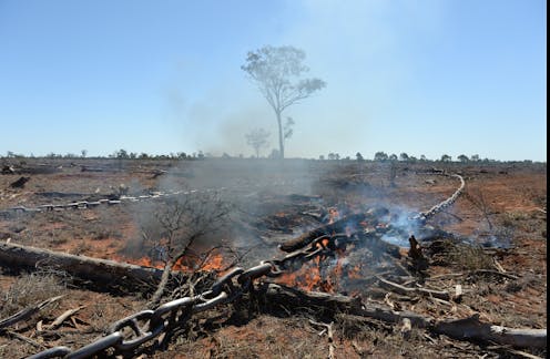 Australia Is A Global Top Ten Deforester And Queensland Is Leading The Way