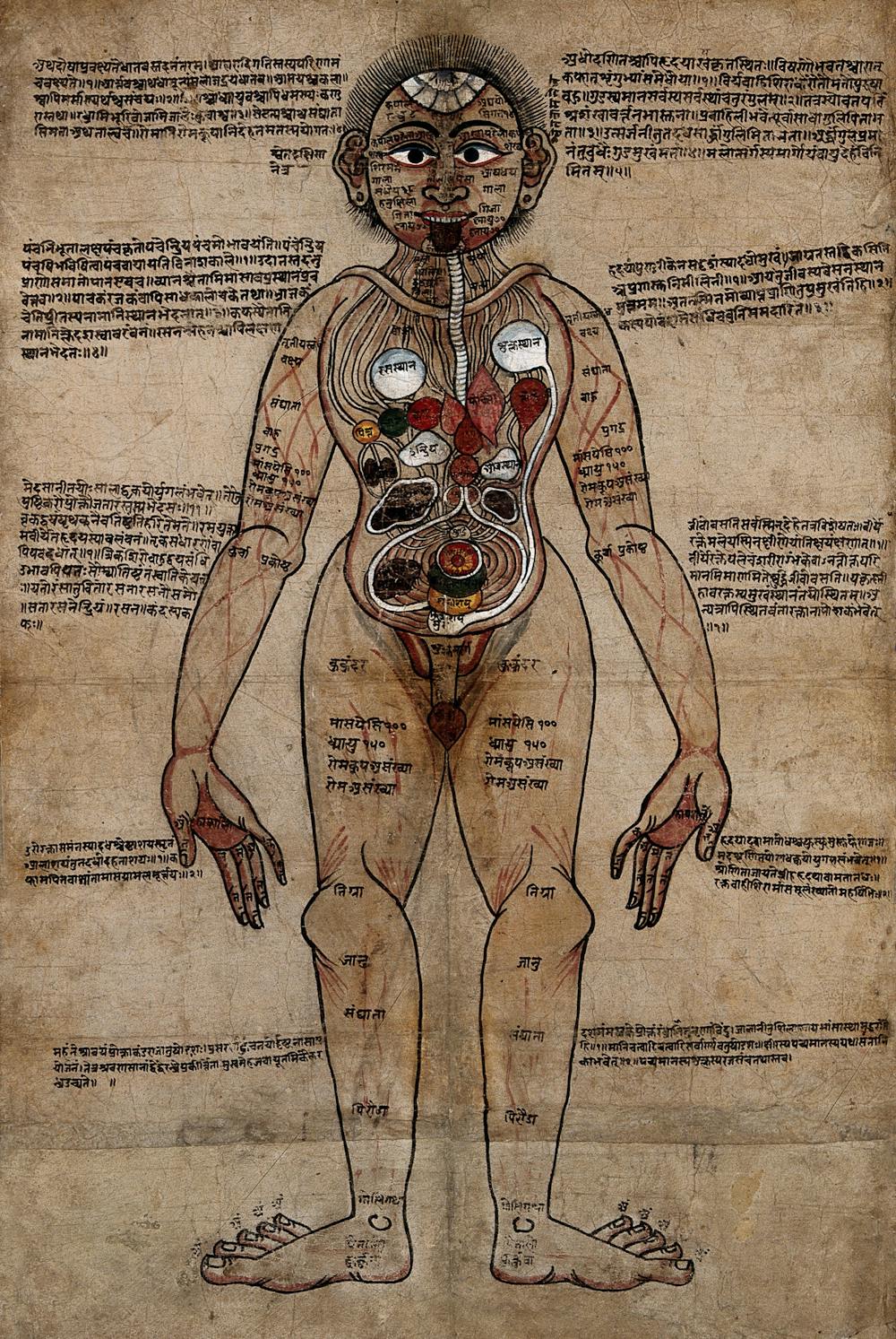Ayurveda