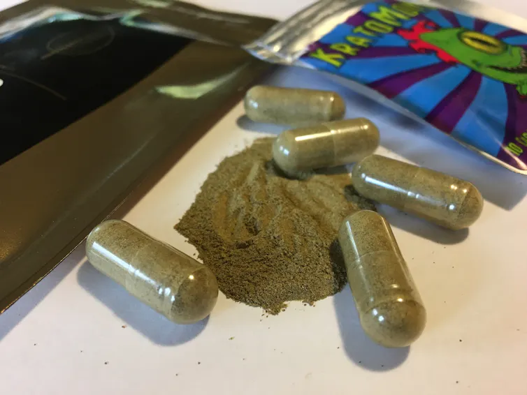 menggunakan daun kratom sebagai obat