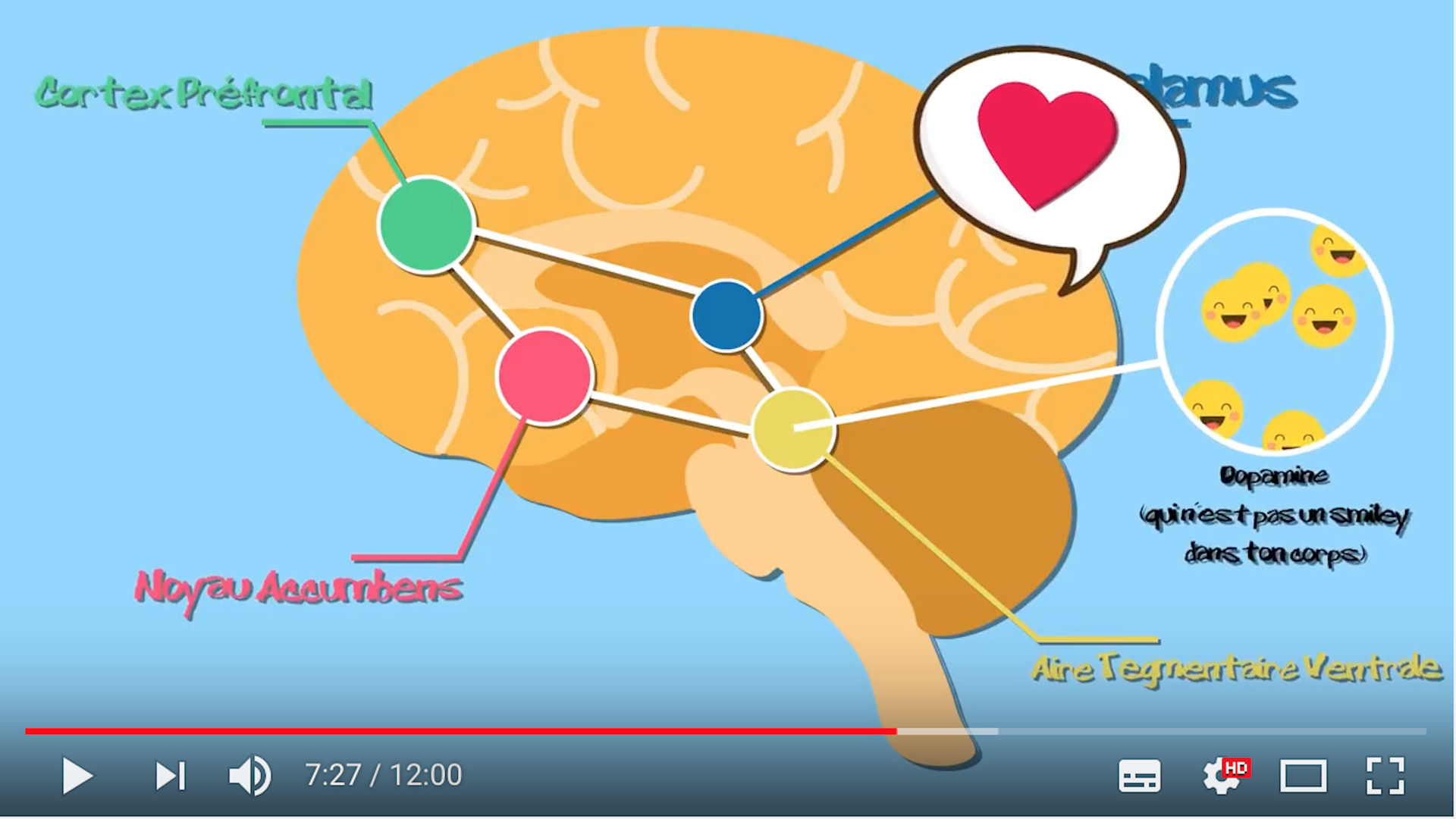 Combien Utilisons Nous De Notre Cerveau