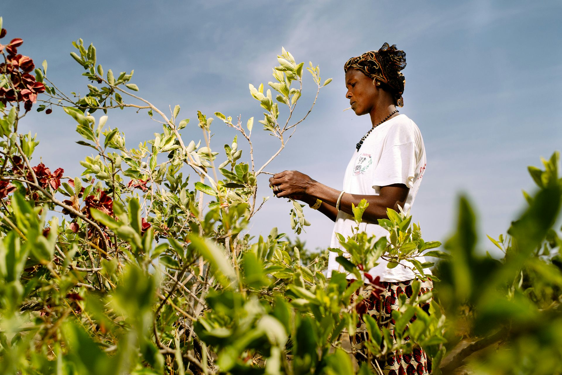 projets porteurs en afrique