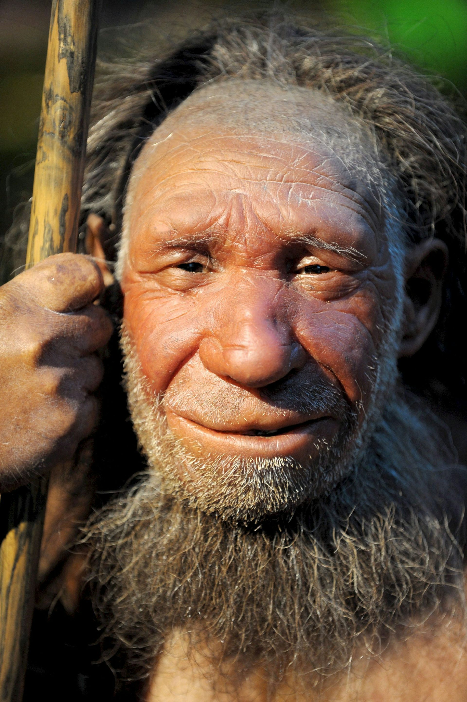 svante pääbo neanderthal man