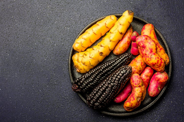 File 20171127 2077 kgcl3s.jpg?ixlib=rb 1.1