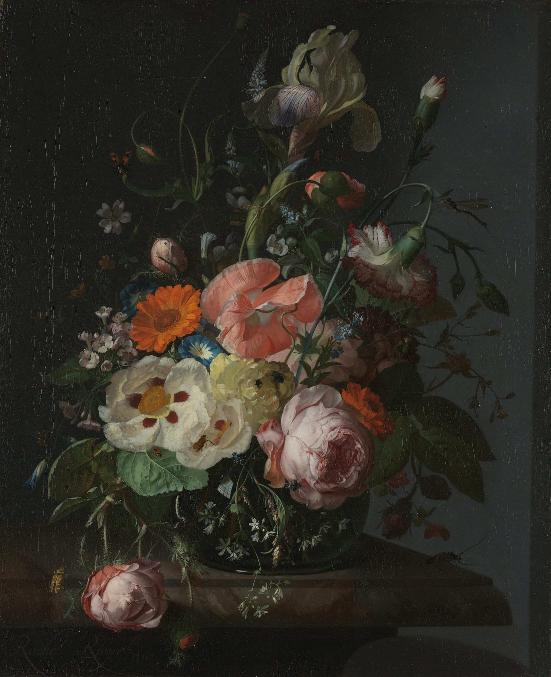 Rachel Ruysch,Still Life Of Roses, Lilies, Tulips And Other Flowers In A Glass Vase With hot A Brindled Beauty Photograph,M6654