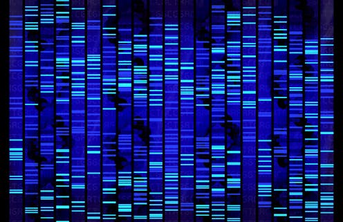 It's time to talk about who can access your digital genomic data |  Australasian Science Magazine