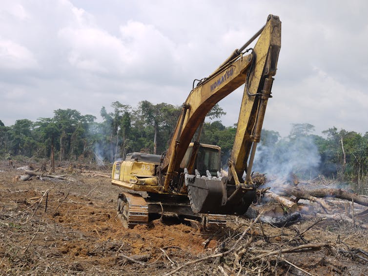A Chinese road-building corporation felling rainforest in the Congo Basin