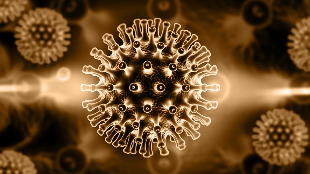 Empat Wawasan Penting Tentang Hiv Aids Yang Memberi Harapan Bagi Penemuan Sebuah Vaksin Empat Wawasan Penting Tentang Hiv Aids Yang Memberi Harapan Bagi Penemuan Sebuah Vaksin