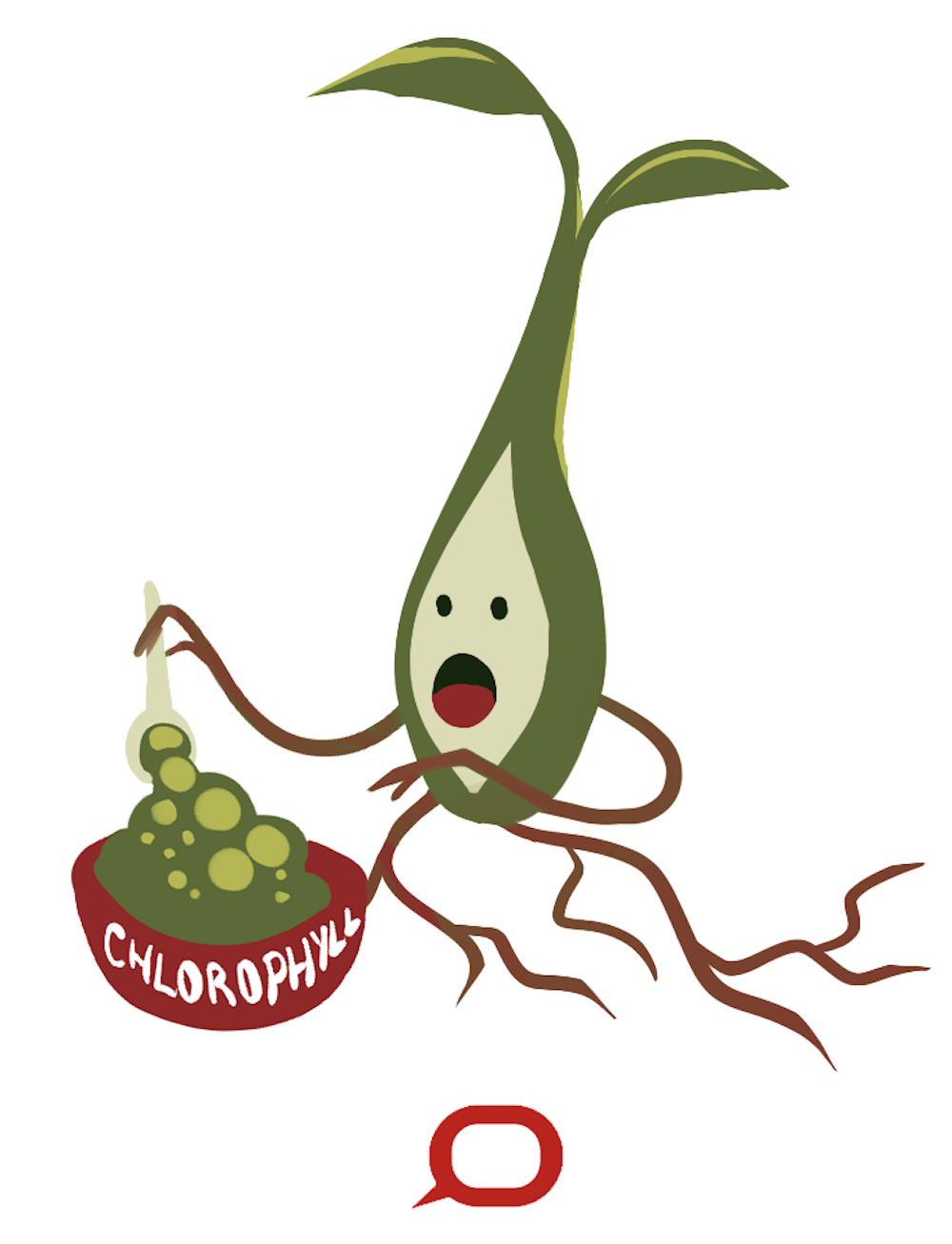 Curious Kids Why Are Leaves Green Curious Kids Why Are Leaves Green