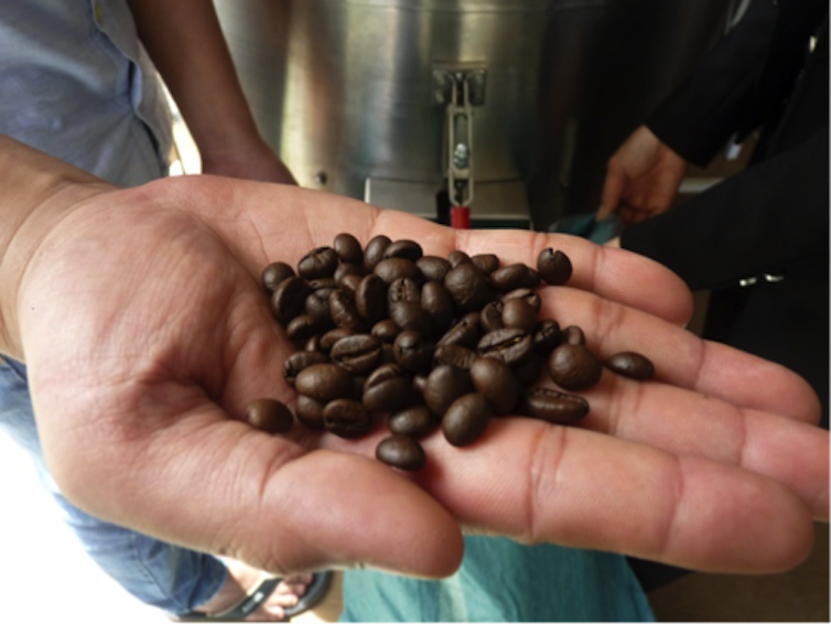 Going To Ground: How Used Coffee Beans Can Help Your Garden And Your Health