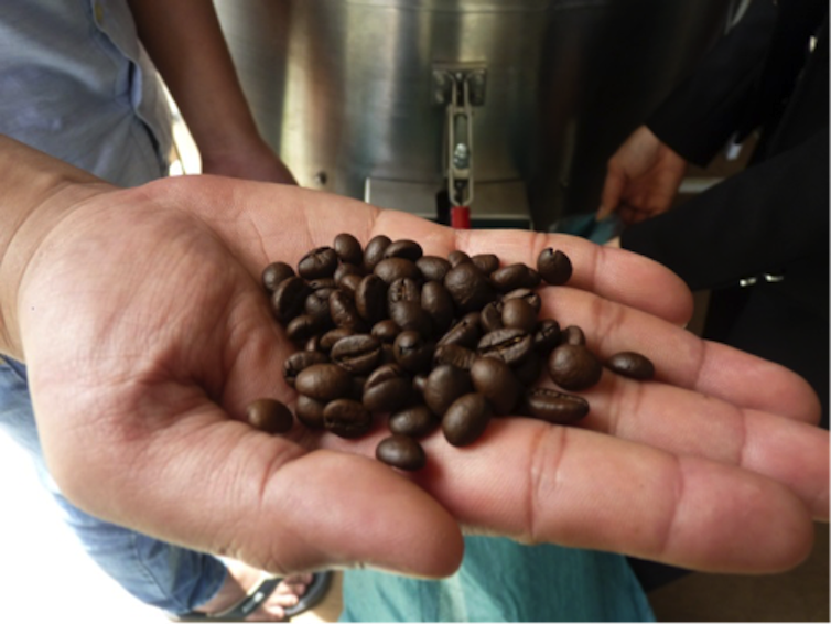 Going to ground: how used coffee beans can help your garden and your health