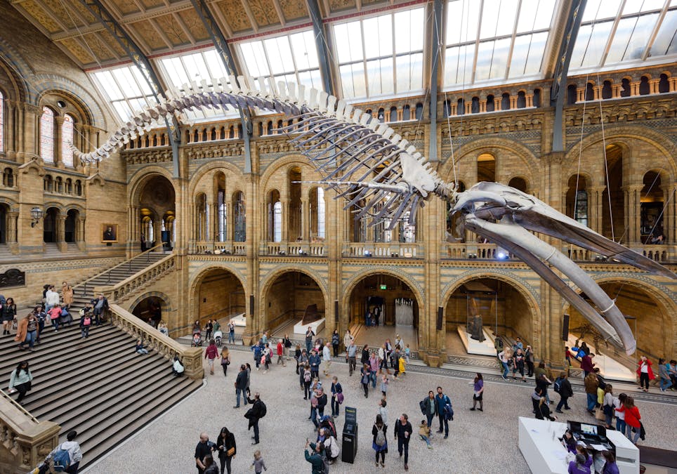 Four ways natural history museums skew reality