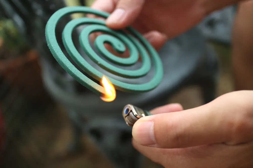 does cigarette smoke repel mosquitoes Are mosquito coils good or bad for our health? does cigarette smoke repel mosquitoes Are mosquito coils good or bad for our health?