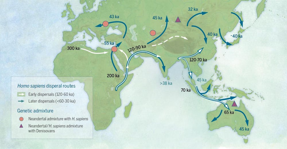 World S Scientists Turn To Asia And Australia To Rewrite Human History World Map 60000 Years Ago