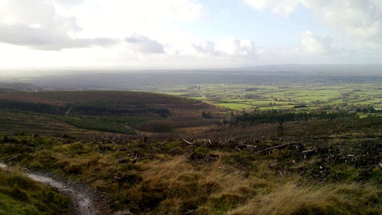 File 20171207 31525 34dwwj.jpg?ixlib=rb 1.1