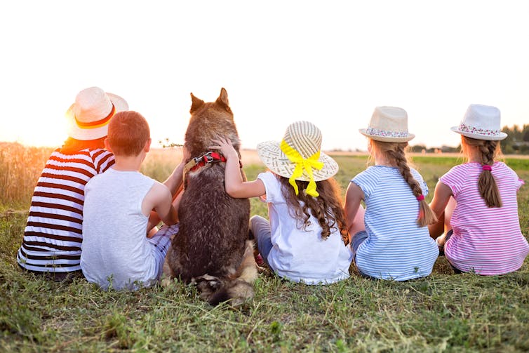 Should you ever get a puppy at Christmas? Here's all you need to know