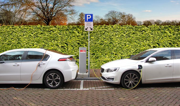 File 20171207 11347 jwzkam.jpg?ixlib=rb 1.1