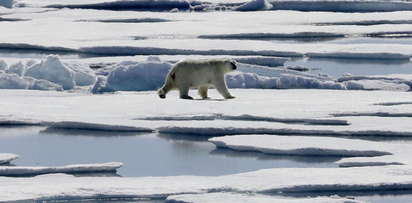 How divesting of fossil fuels could help save the planet