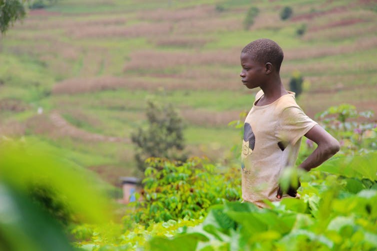 File 20171213 27562 13vsuak.jpg?ixlib=rb 1.1