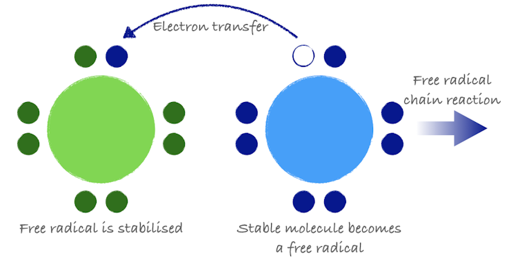 What are antioxidants? And are they truly good for us?