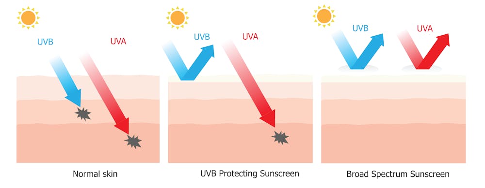 Káº¿t quáº£ hÃ¬nh áº£nh cho sunscreen works