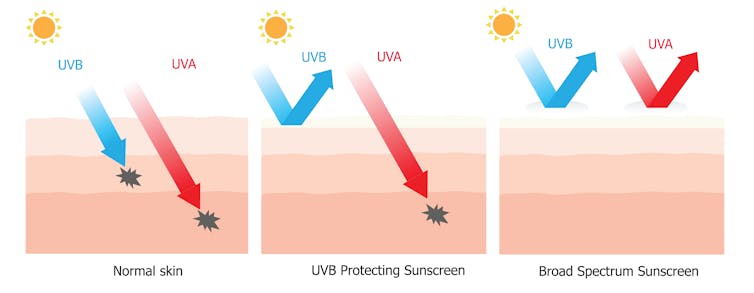 Explainer: how does sunscreen work, what is SPF and can I still tan with it on?