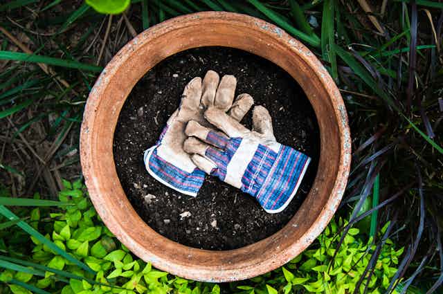 Wear Gardening Gloves, Should You Wear Gloves When Gardening
