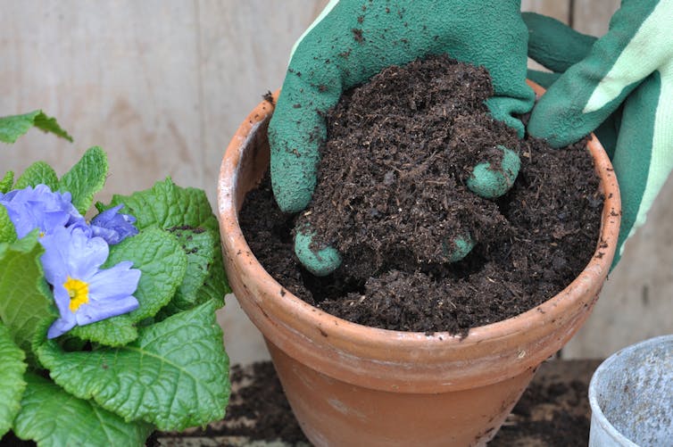 (at Least) Five Reasons You Should Wear Gardening Gloves