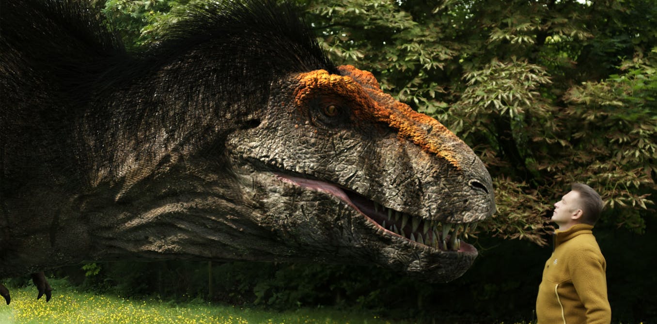 rex tyrannosaurus jurassic packham chris park trex really telegraph hair bbc daily fought indicate fossils skulls scarring each adult dom