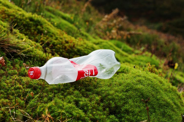 Coca Cola makes more than 100 billion single-use plastic bottles a year, according to Greenpeace. AS photo studio / shutterstock