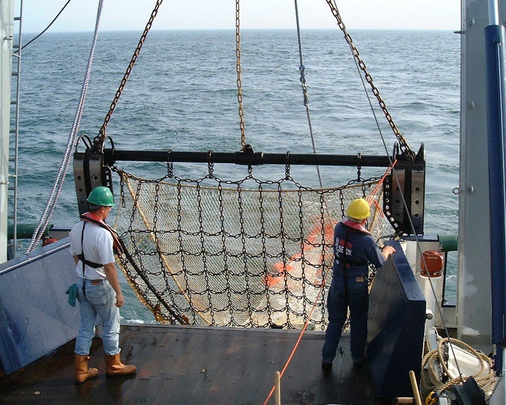 Is fishing with electricity less destructive than digging up the seabed  with beam trawlers?