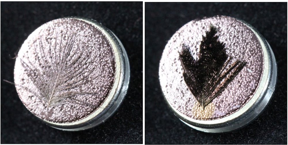 Feather from Paradise Riflebird coated with gold