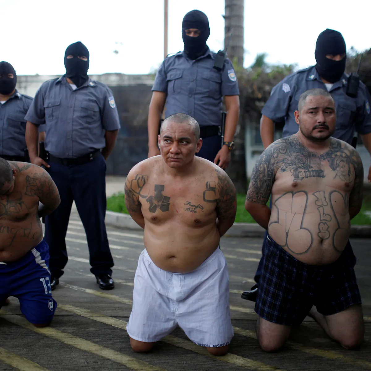 Why Is El Salvador So Dangerous 4 Essential Reads