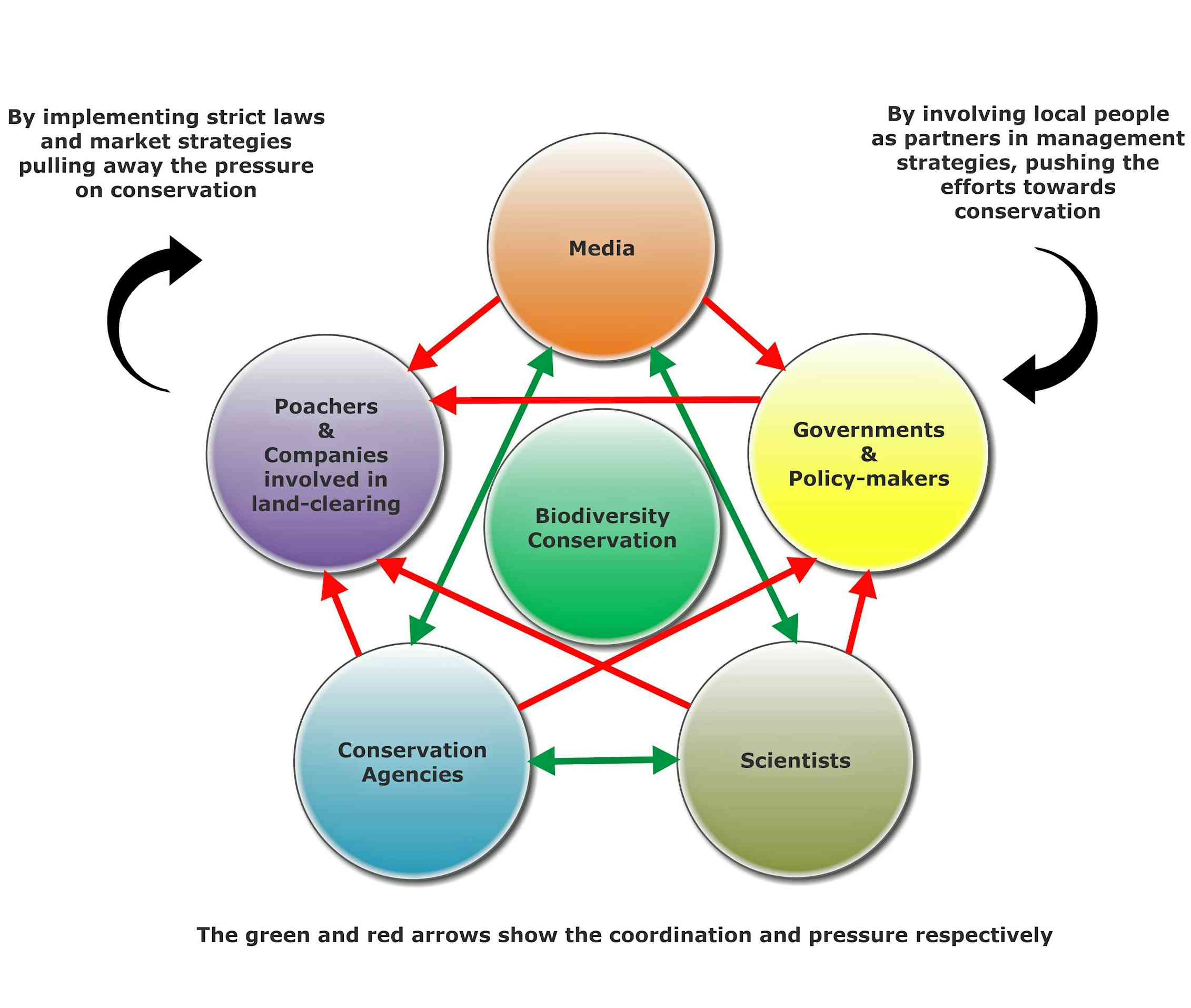 It’s time for a more realistic approach to conservation