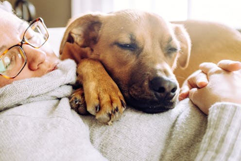 Guilty about that afternoon nap? Don't be. It's good for you.