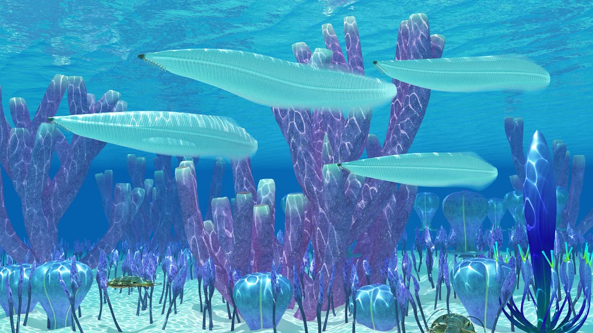 Cancer tumours could help unravel the mystery of the Cambrian explosion