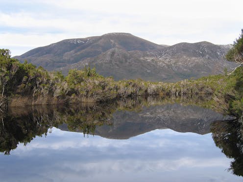 The moral value of wilderness
