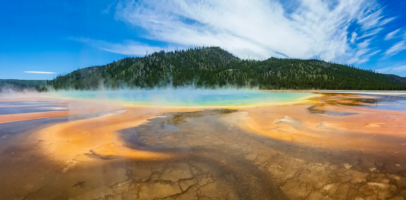Biomining the elements of the future