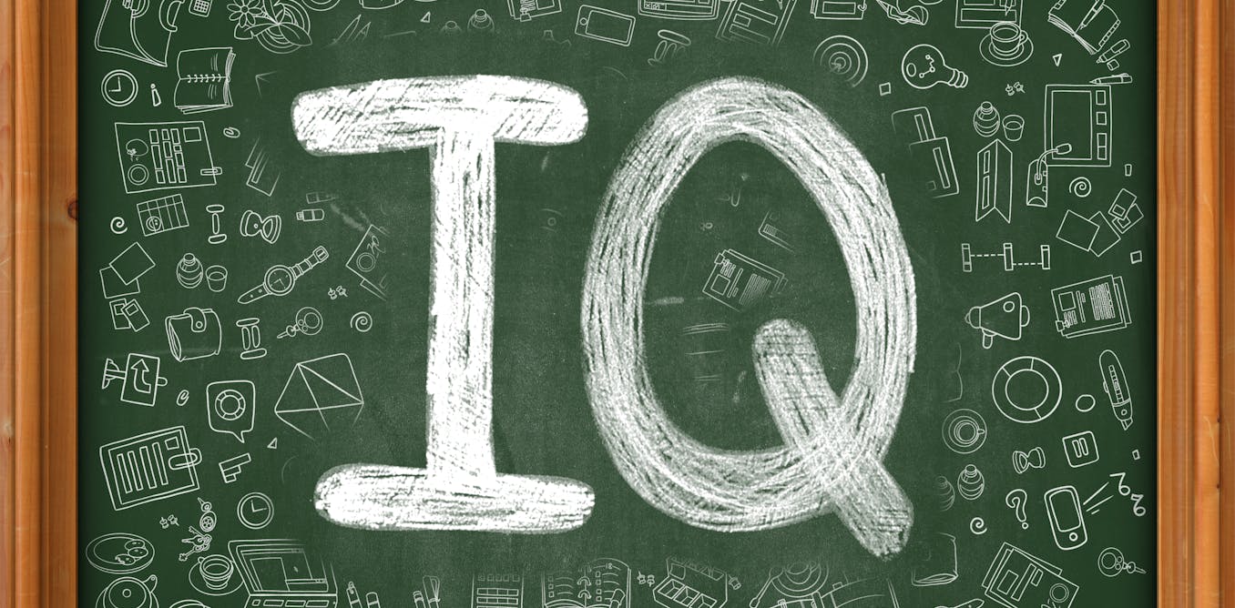 The IQ test wars why screening for intelligence is still
