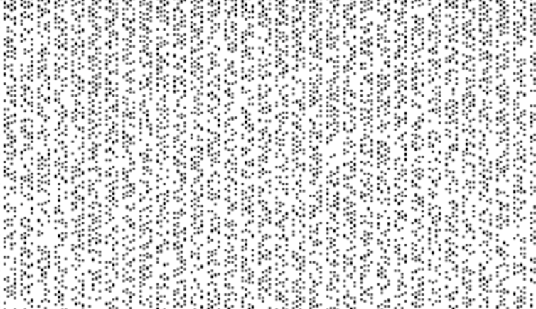 The distribution of prime numbers from 1 to 76,800, from left to right and top to bottom. A black pixel means that the number is first, while a white pixel means that it is not. Wikipedia, CC BY 