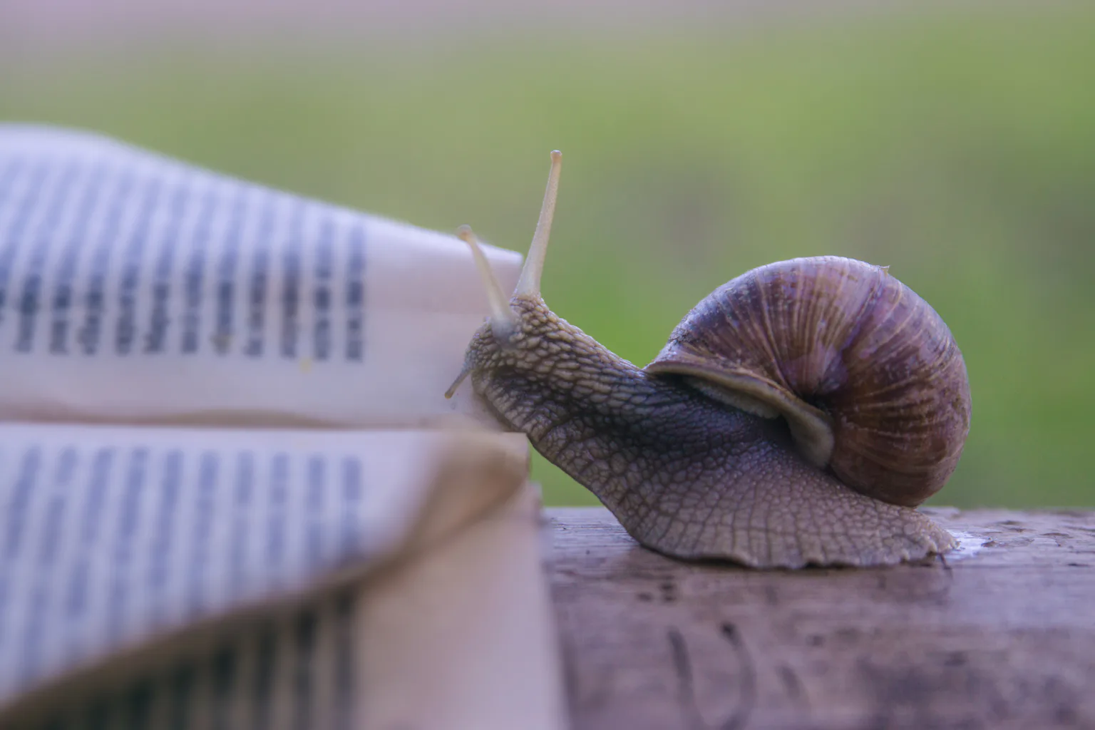 How ‘slow science’ can improve the way we do and interpret research