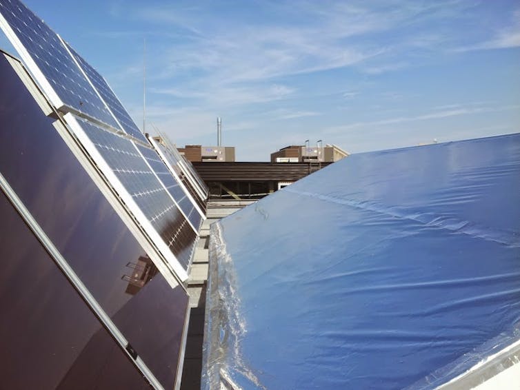 File 20180125 102723 1n6ft0m.jpg?ixlib=rb 1.1