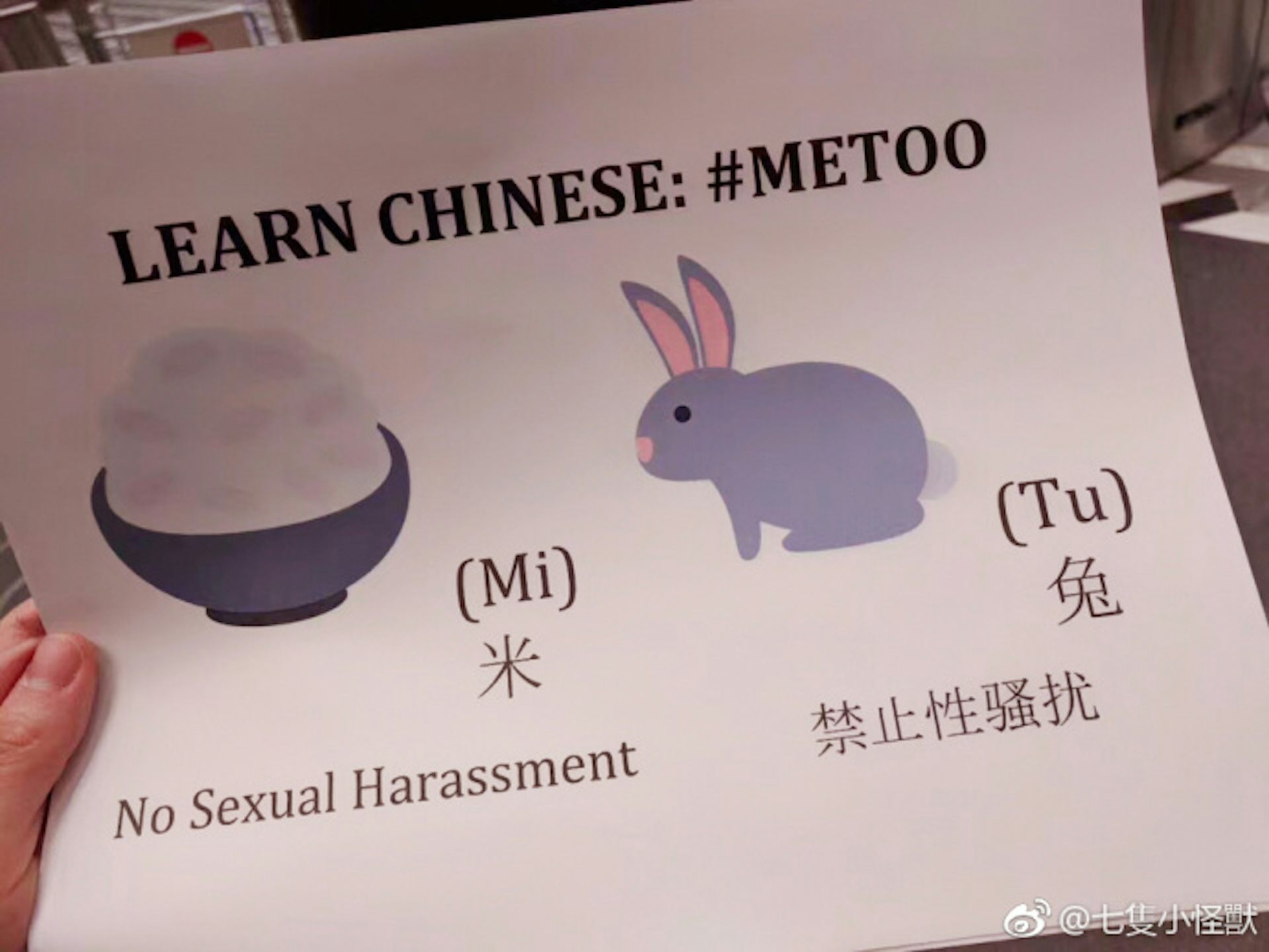 metoo bunny