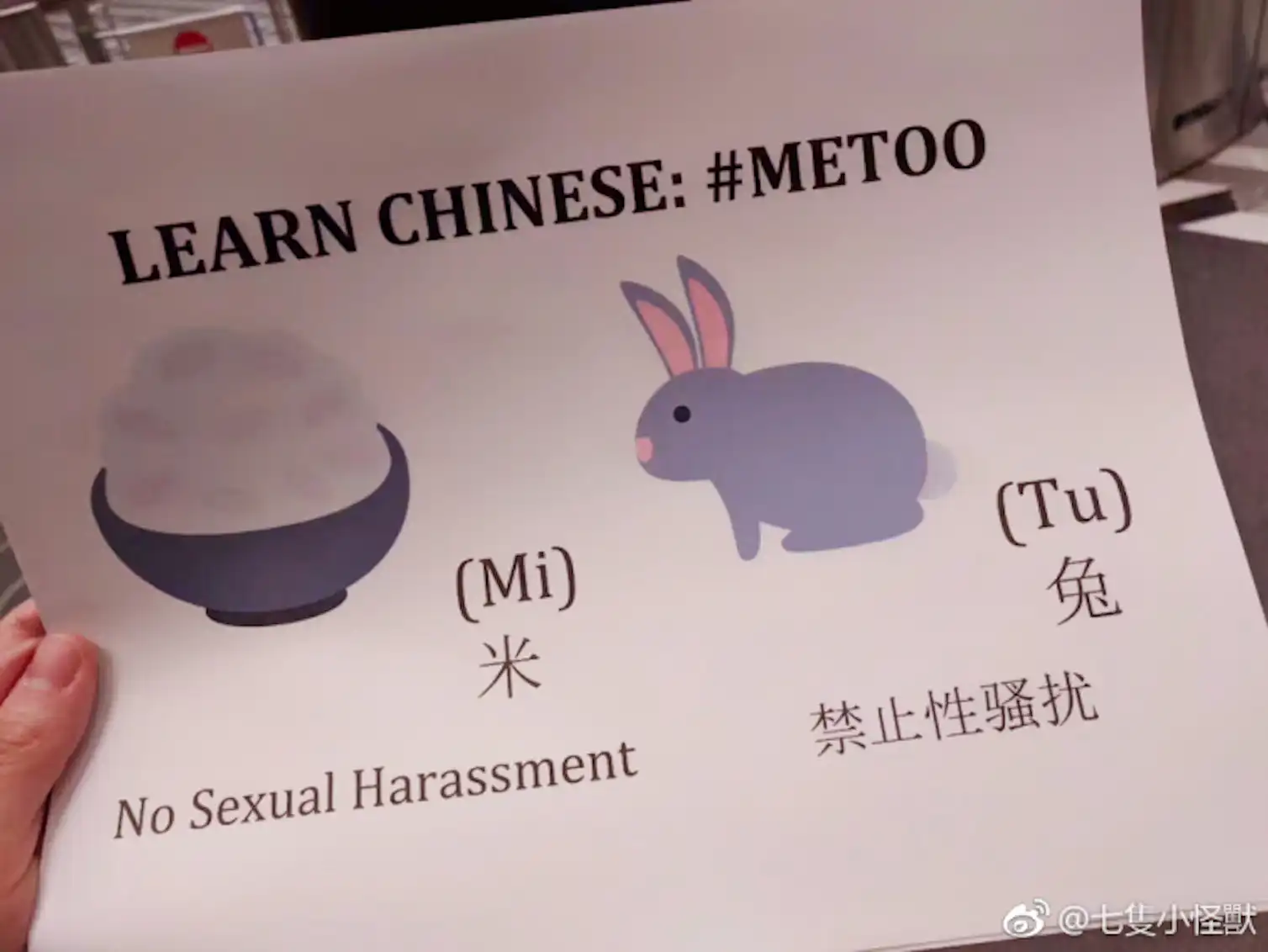 Bleached Ricebunny From #MeToo to #RiceBunny: how social media users are campaigning in China