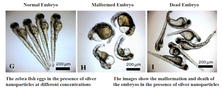 Silver nanoparticles in clothing wash out – and may threaten human health and the environment