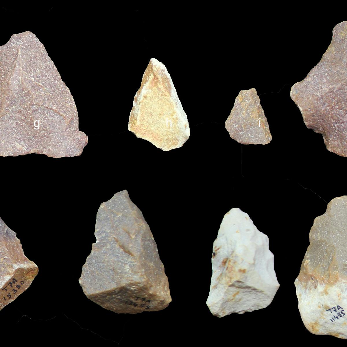 Indian Stone Tools Could Dramatically Push Back Date When Modern Humans First Left Africa