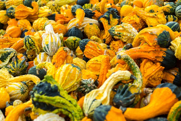 File 20180201 123852 ap84hl.jpg?ixlib=rb 1.1