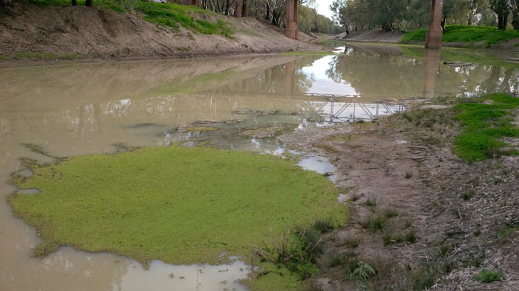 The Murray Darling Basin Plan is not delivering – there's no more time to waste