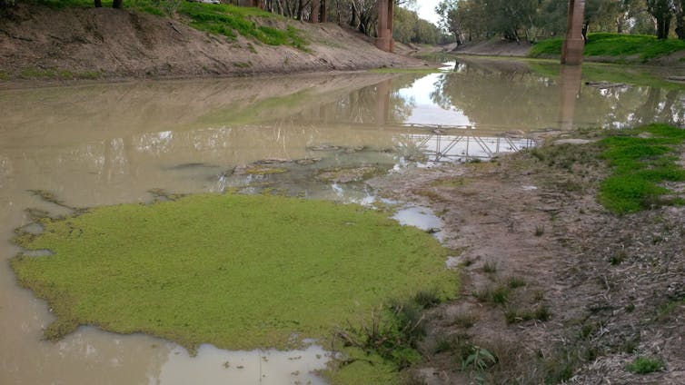 The Murray Darling Basin Plan is not delivering – there's no more time to waste