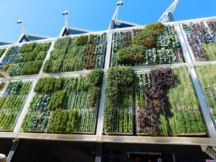 Exhibition of a green wall proposal in Milan, 2015. faverzani/Pixabay, CC BY
