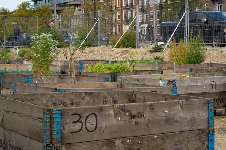 A small urban agriculture project in Amsterdam (www.stadsboeren.org), 2011. Kaz Alting/Wikimedia, CC BY-ND